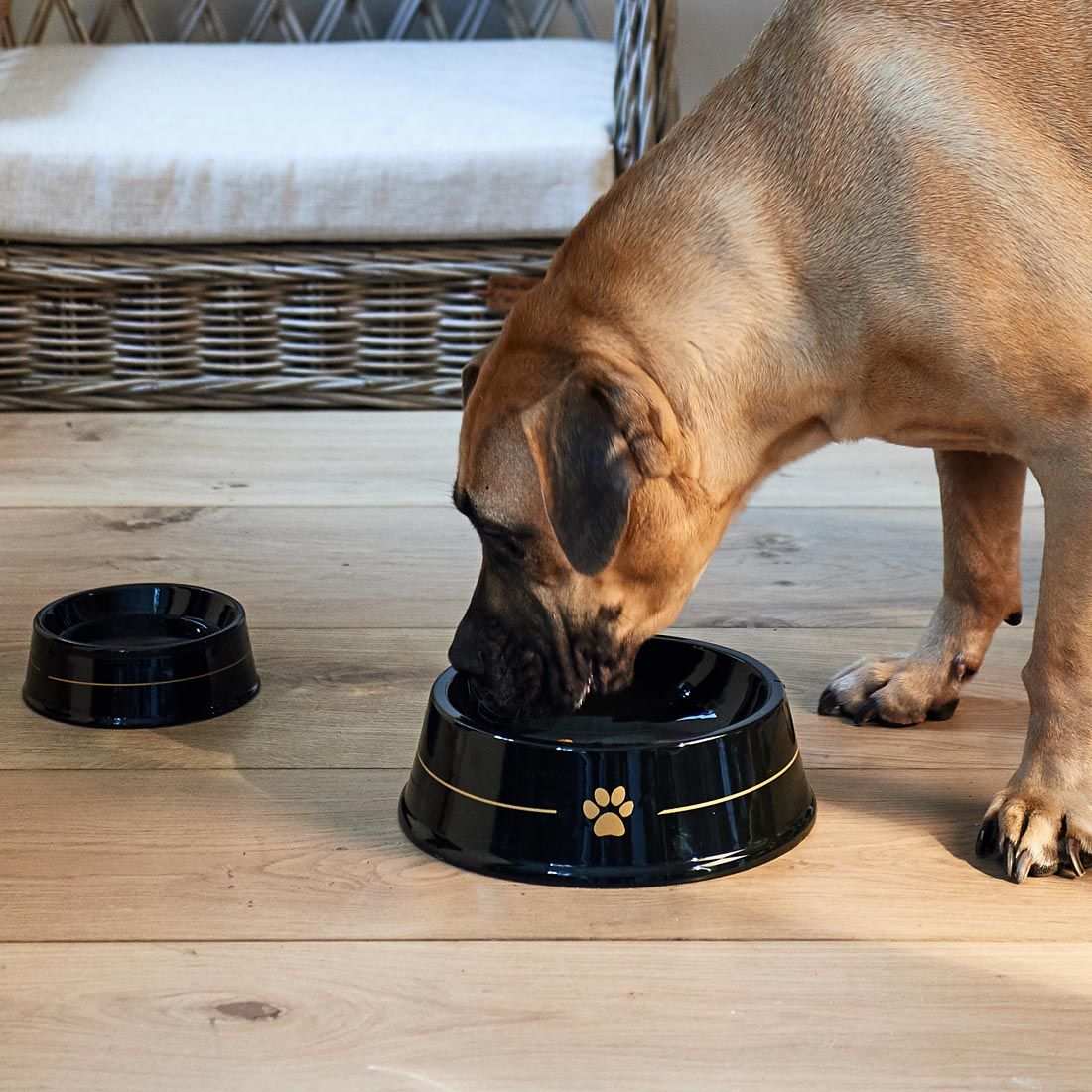 Riviera Maison Paw Pet Bowl M kutya/macska tál