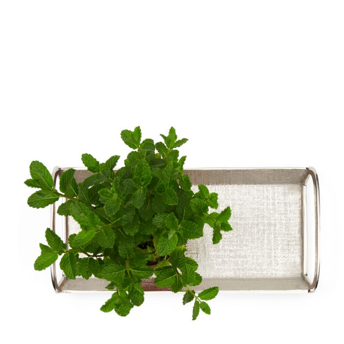 Riviera Maison Toronto Tray alu 40x20 cm