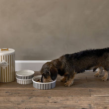 Kép betöltése a galériamegjelenítőbe: Riviera Maison Furry Friends Dog Food Storage Jar kutyaeledel tartó
